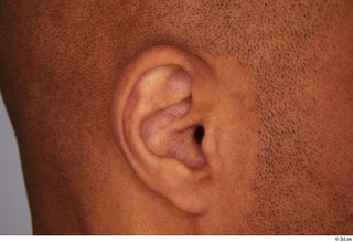 Tiago ear 0002.jpg